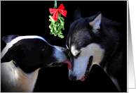 Season’s Greetings Dogs and Mistiltoe card