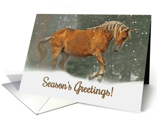 Season's Greeting Christmas Horse card (1412238)