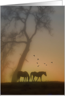 Thinking of You Horses in the Sunset card