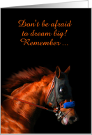 Customizable Race Horse Long Shot Wins Big Encouragement card