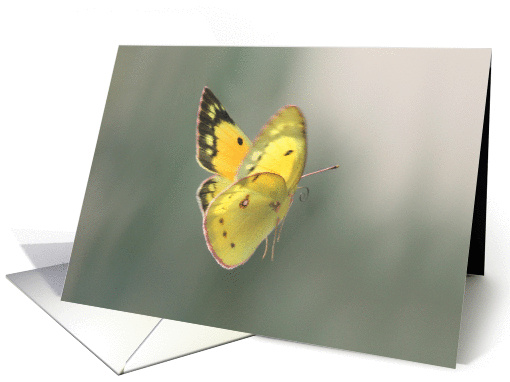 Spiritual Transition Butterfly Sympathy Condolence card (1425640)