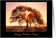 Customizable Happy Mother’s Day Heart and Oak Tree card