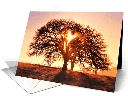 Thank You Heart and Oak Tree card (1426304)