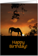 Customizeable Happy Birthday Pretty Horse and Sunrise card