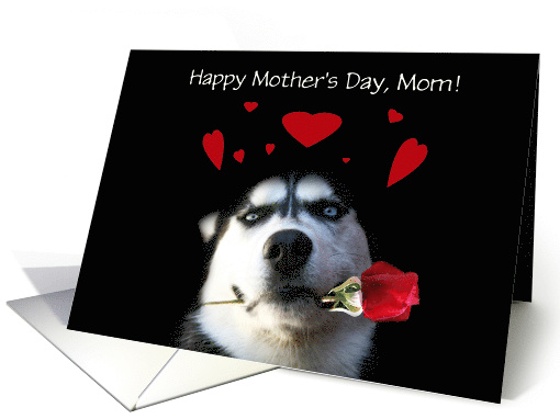 Cute Dog and Flower Happy Mother's Day Customizable card (1428844)