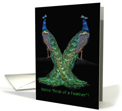 Happy National Siblings Day Two Peacocks Customizeable card (1429400)