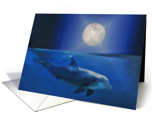 Happy National Dolphin Day card (1429406)