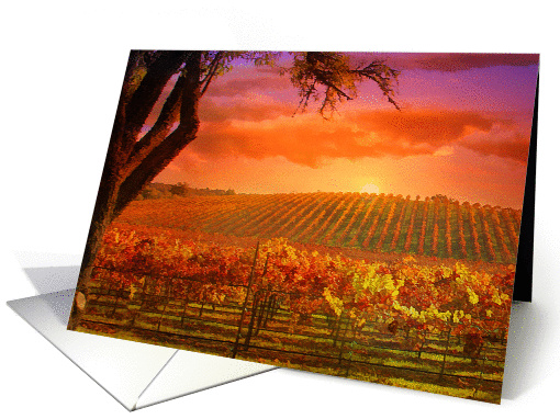 Wine Vineyard Happy Birthday card (1429932)