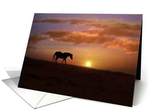 Beautiful Horse in the Sunrise Thinking of You card (1432694)