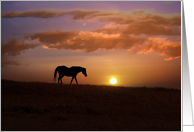 Beautiful Horse in the Sunrise Thinking of You card