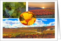 Greetings Hello From California Wine Country card