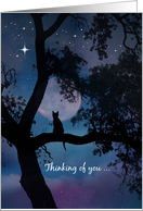 Thinking of you Cat in Tree and Moon card