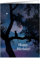 Happy Birthday Cat and Moon Wishes card