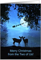 Cute Deer Merry Chirstmas from the Two Of Us card