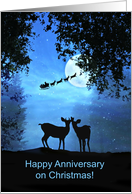 Happy Anniversary on Christmas two Deer in the Moonlight card