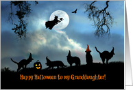 Happy Halloween to Granddaughter Fun Cats in Hats and Witch Halloween card