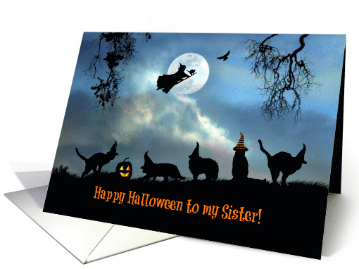 Happy Halloween To Sister Fun Witch and Black Cats in Hats card