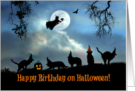 Happy Halloween Birthday Witch and Black Cats card