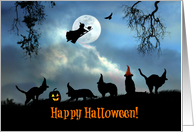 Happy Halloween Fun Cats and Witch card