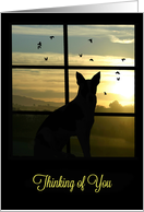 Thinking of You Cute Dog In Window card