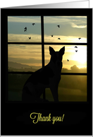 Thank You for your Thoughtfulness Dog In Window card