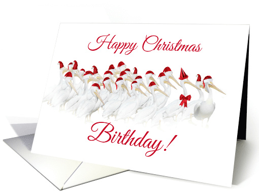 Happy Christmas Birthday White Pelican with Party Hat card (1452264)