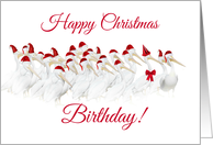 Happy Christmas Birthday White Pelican with Party Hat card