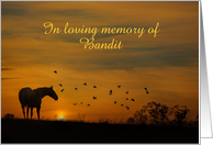 Horse Sympathy Customize with Name card