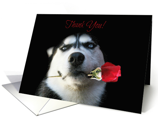 Business Thank You for your Order, Appreciation Cute Dog... (1462728)