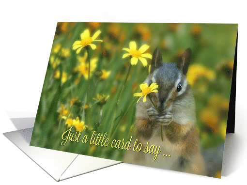 Very Cute Chipmunk, Sweet, Happy Birthday with Flowers card (1463062)