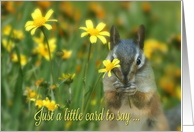 Very Cute Chipmunk, Sweet, Happy Birthday with Flowers card