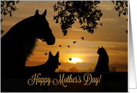 Happy Mother’s Day From Pet, Dog Cat and Horse with Birds card