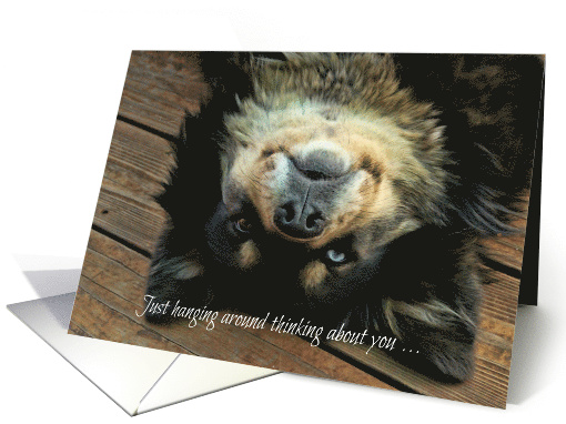 Cute Upside Down Dog Thinking of You card (1467588)