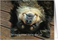 Cute Upside Down Dog Thinking of You card