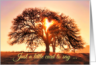 Thinking of You, Oak Tree and Heart, Cute Thinking of You card