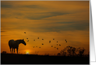 Thinking of You Horse and Sunrise With Birds card