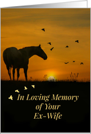 Sympathy for Loss of Ex Wife, Horse, Nature and Birds in Sunset card