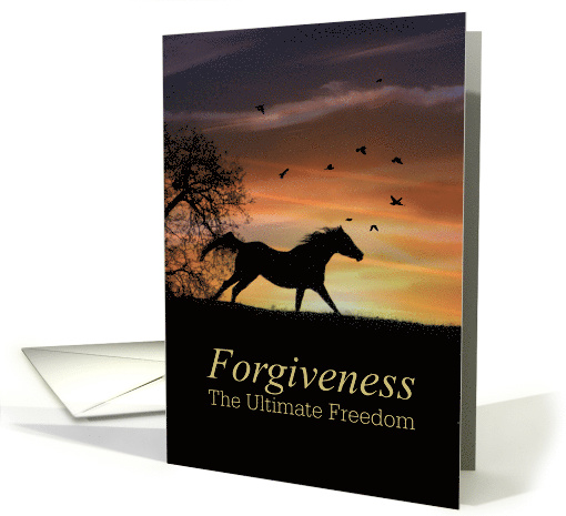 Forgiveness, I am Sorry, Horse and Sunset card (1469760)