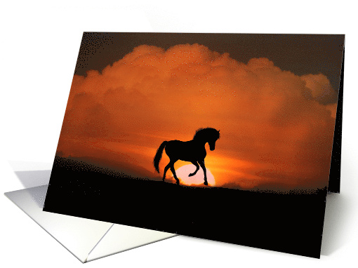 Horse Blank Note card (1470230)
