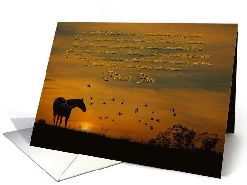 Spiritual Holistic New Age Sympathy Card With Horse and Birds card