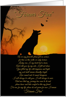 Spiritual Holistic New Age Dog Sympathy Card