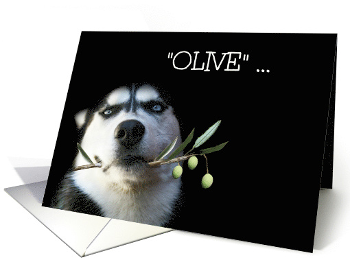 Funny Husky and Olive Branch Birthday Best Wishes card (1471992)