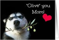Olive and Husky...