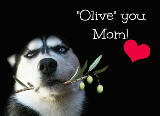 Olive and Husky...