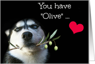 Love Anniversary Cute and Fun Husky Happy Anniversary for Spouse, card