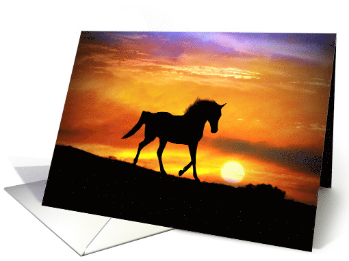 Horse and Sun Blank Note card (1476098)