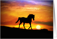 Horse and Sun Blank Note Card