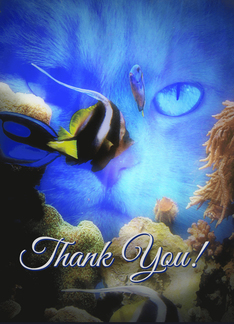 Cute Cat and Fish Thank You House Sitting