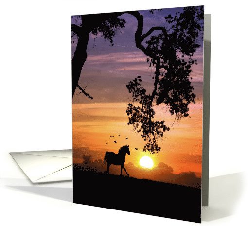 Pretty Thinking of You Horse Sunset and Oak Tree with Birds card