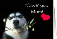 Humorous Happy Birthday I Love You Mom Or Olive You Mom Husky Dog card